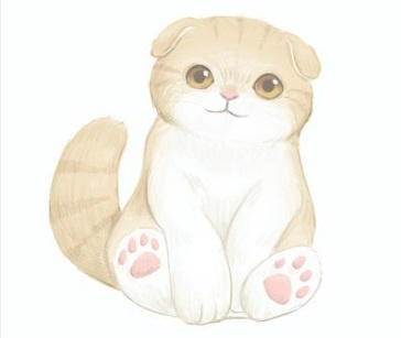 久々の登場(=^・^=)の画像