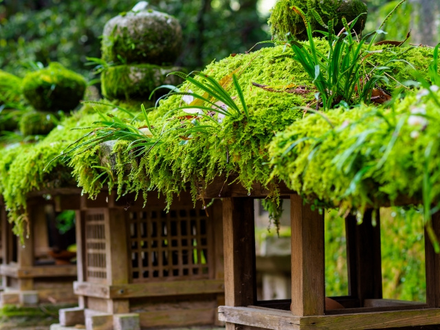 『春日祭』はどんな祭事？