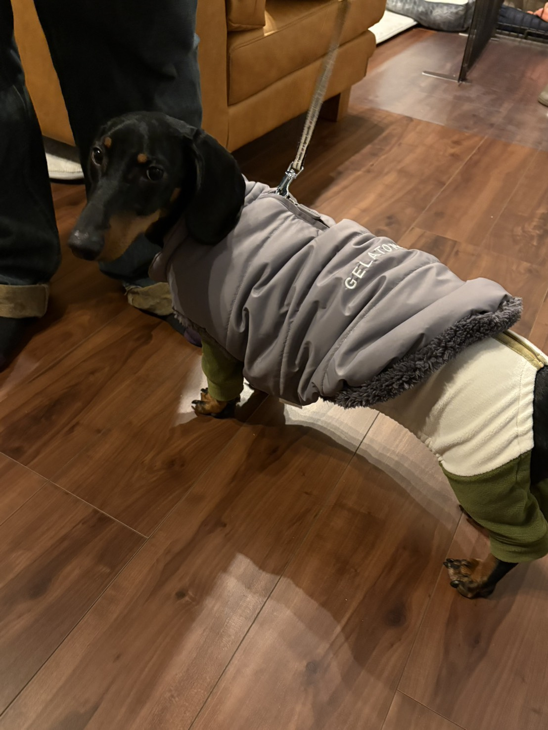 ラニ君 ～winter ver.～の画像