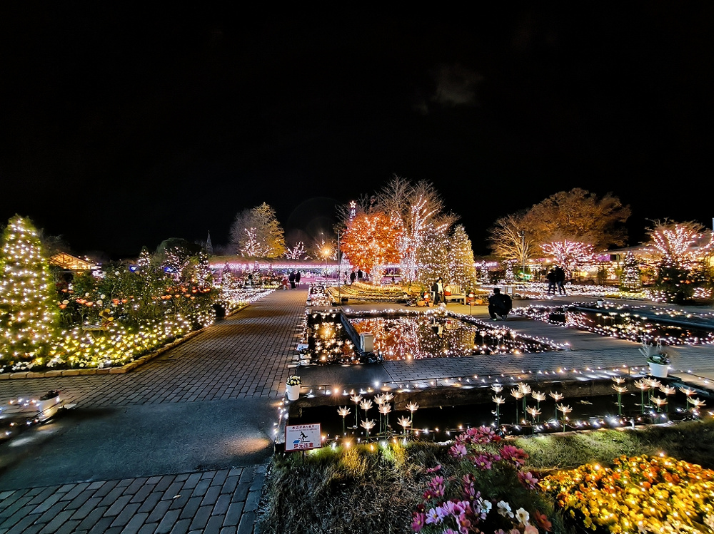 12月2日：あしかがフラワーパークの画像