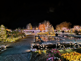 12月2日：あしかがフラワーパークの画像