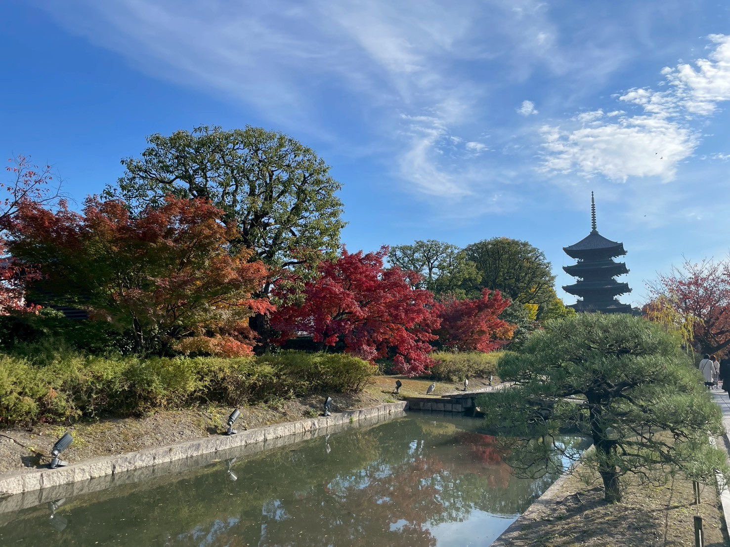 秋の京都の画像