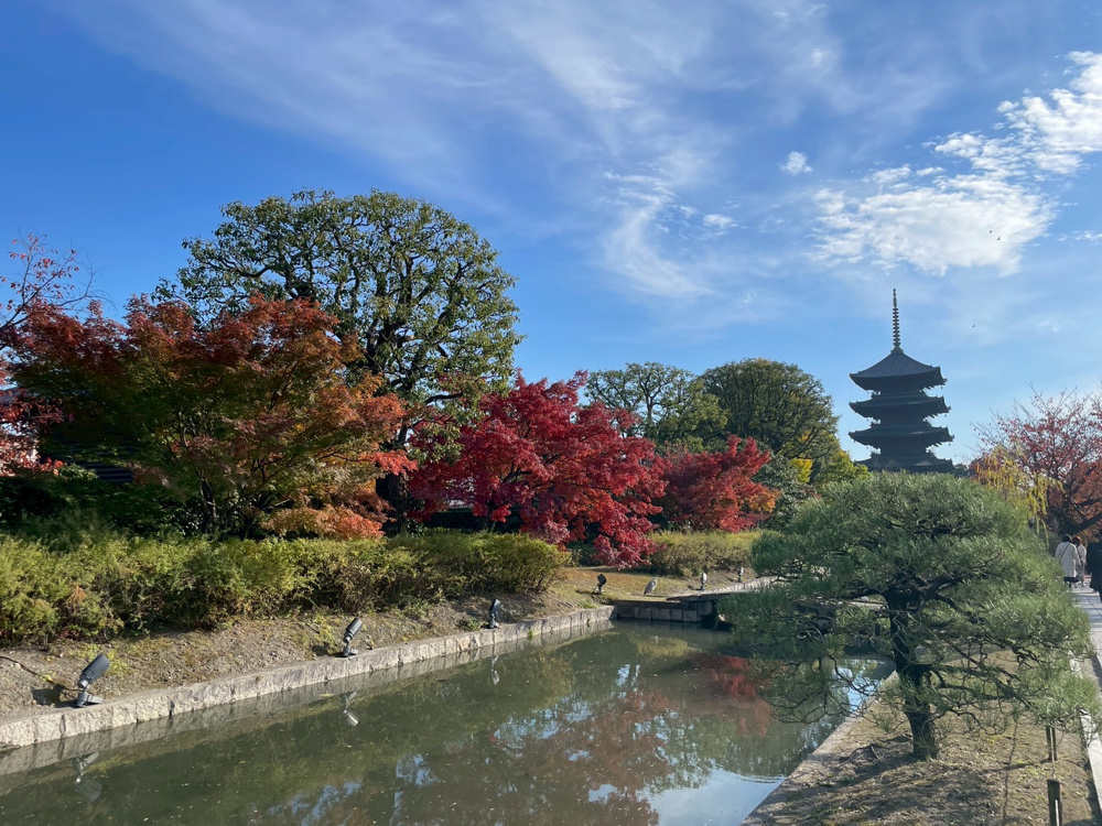 秋の京都の画像