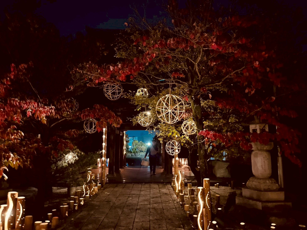 とよあけ千の灯の画像