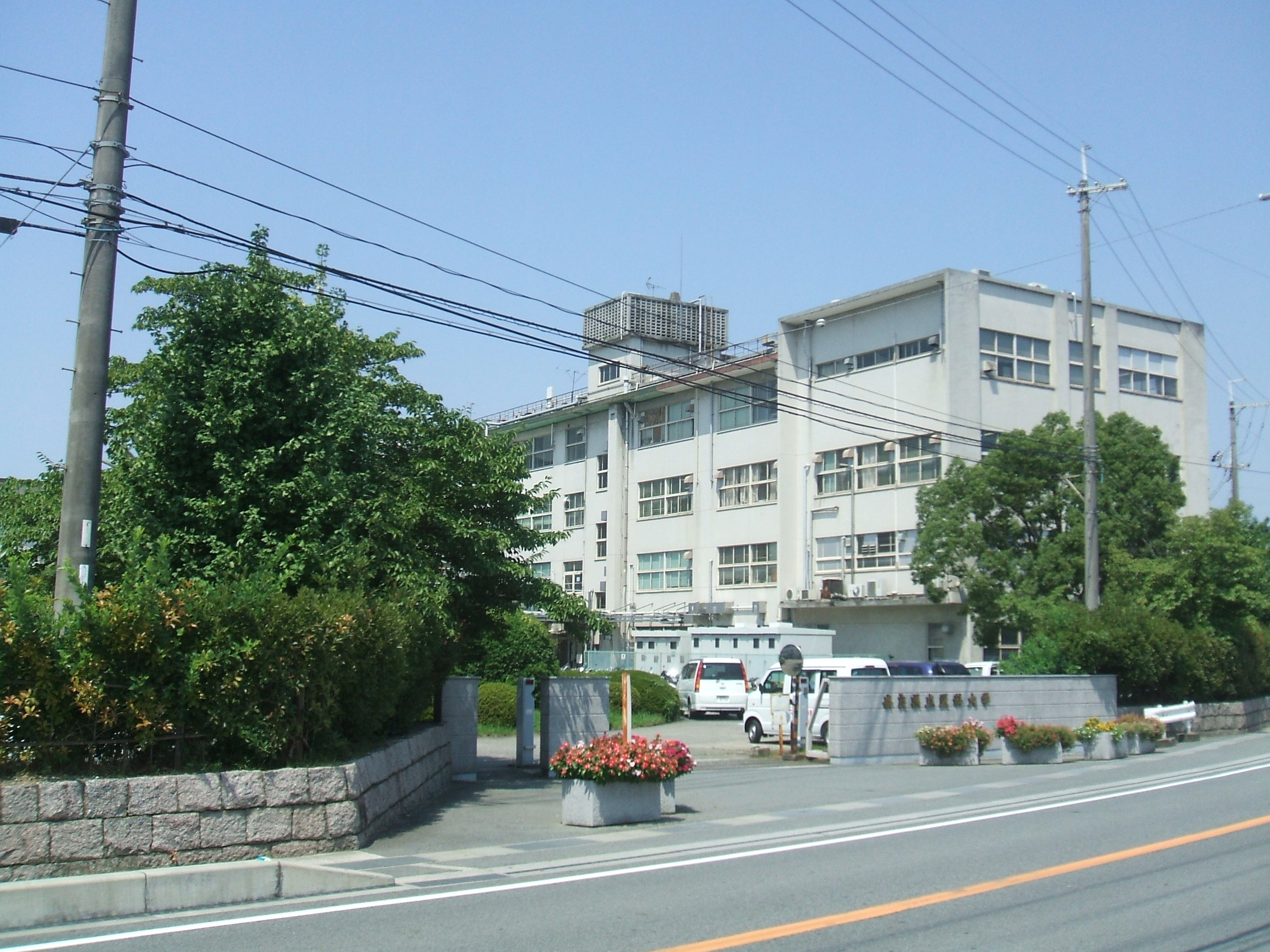 大学
