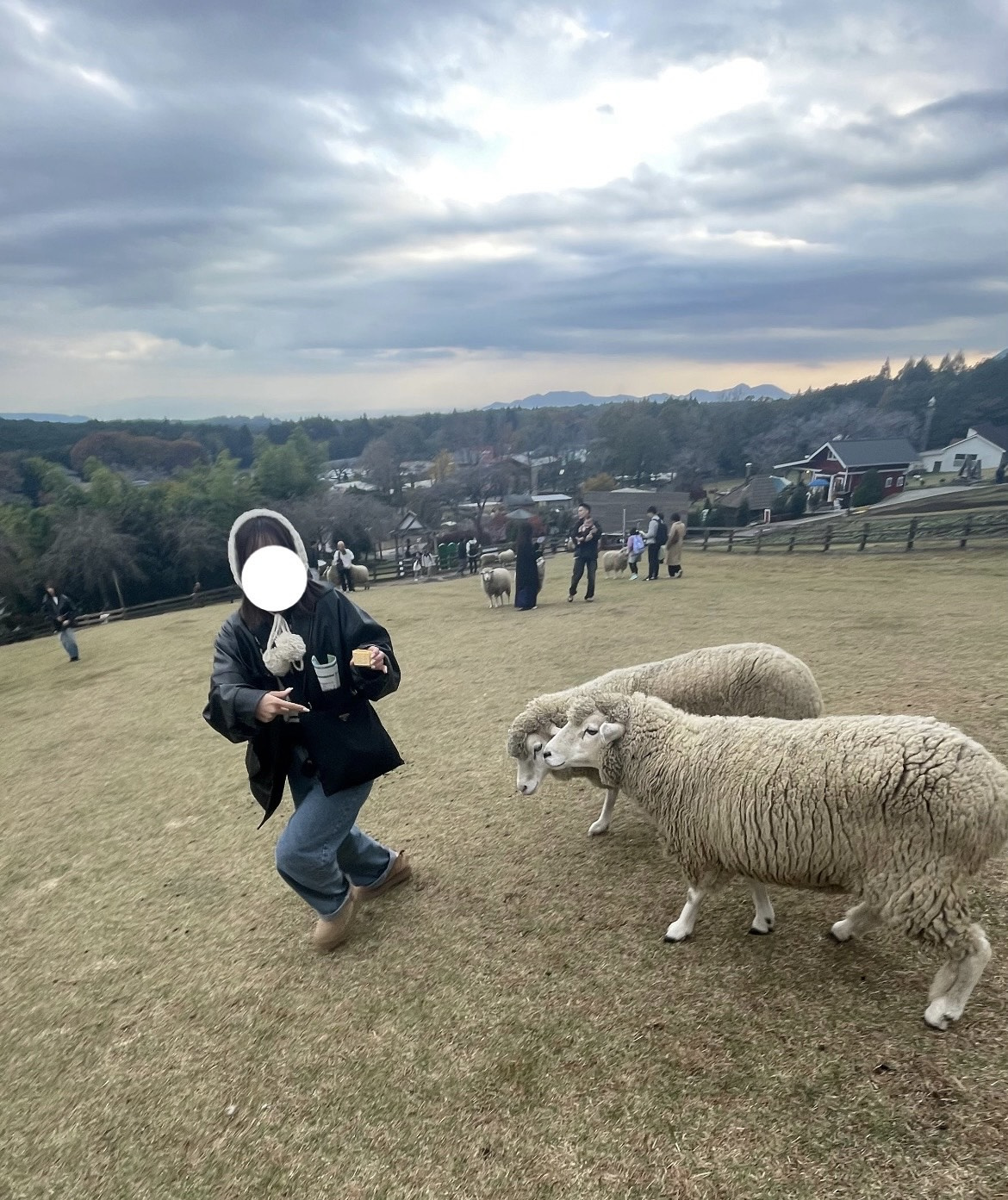 まかいの牧場の画像