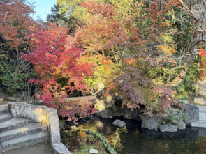 令和7年月次祭&お誕生日ランチ☆の画像