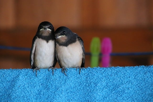 住宅ローン返済額の不安は夫婦で解決できる？シュミレーション方法と見直しポイントをご紹介の画像