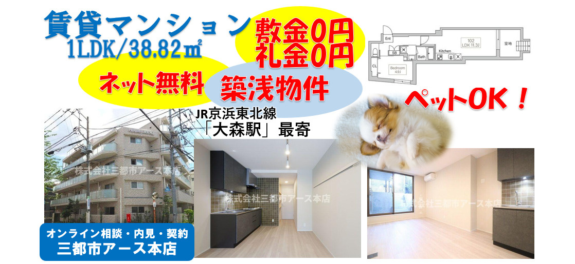 【敷金0円・礼金0円】ペット可の築浅賃貸マンション1LDK｜品川区の画像
