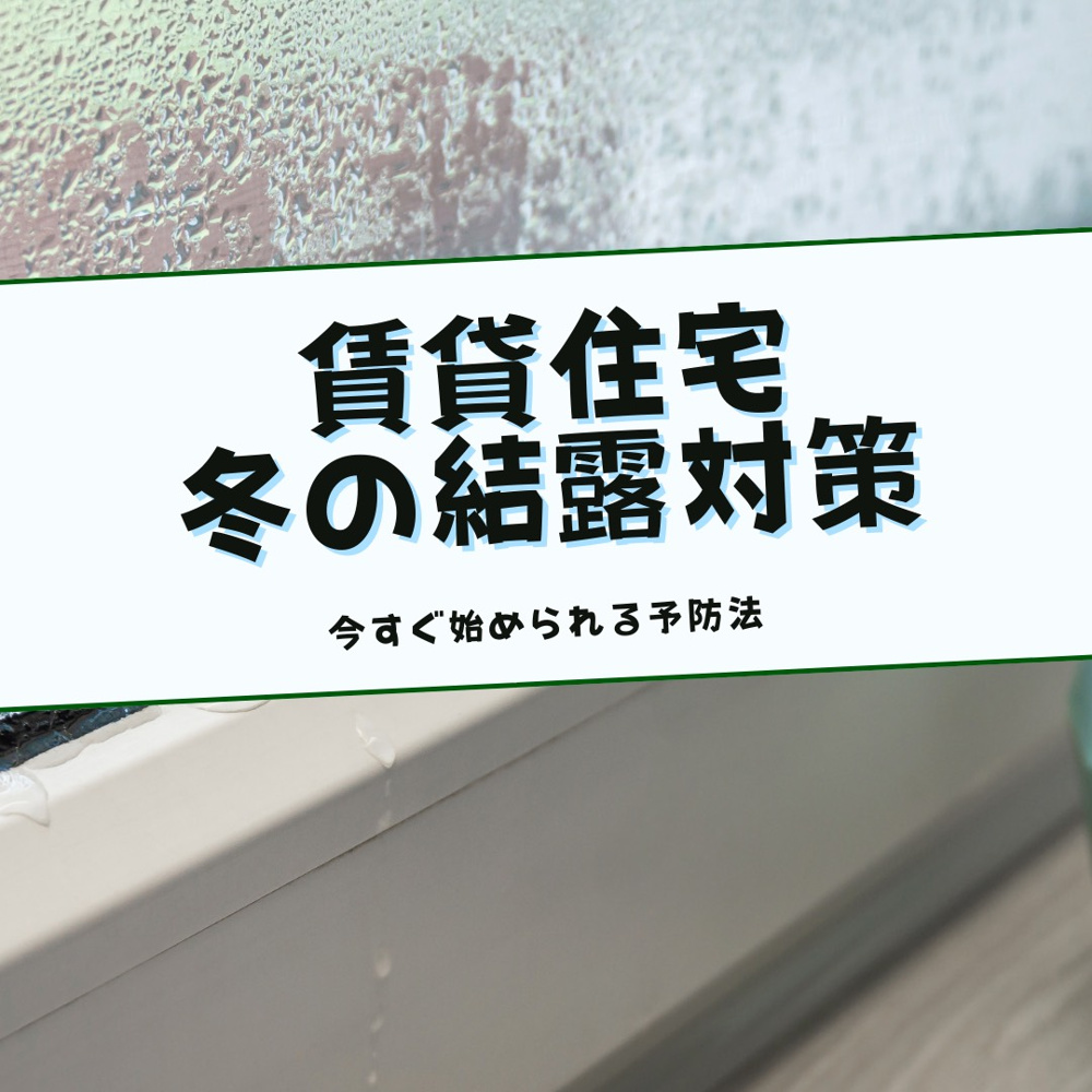 賃貸住まいの結露対策はできていますか 賃貸物件でカビを予防する換気方法も紹介の画像