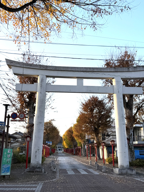 須賀神社の銀杏並木がキレイでした✨の画像