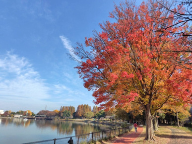 早いもので2025年も残り1ヶ月です…の画像