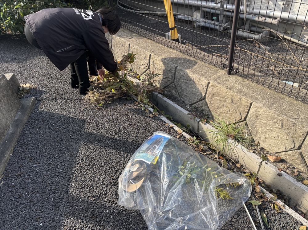 大分ベスト不動産の全社員で行う管理物件の年末清掃の画像