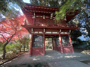 家族で紅葉を見に行ってきました♪の画像