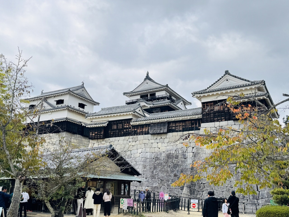 高知、松山行き・・30年前を思い出して・・（松山編）の画像