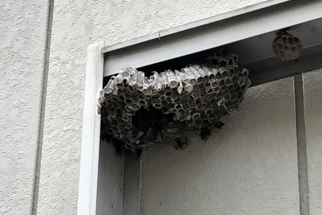 駆除費用と貸主の負担義務