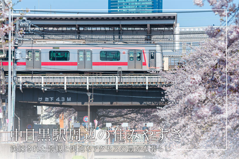 中目黒駅周辺の住みやすさ、洗練された景観と快適なアクセスの豊かな暮らしの画像