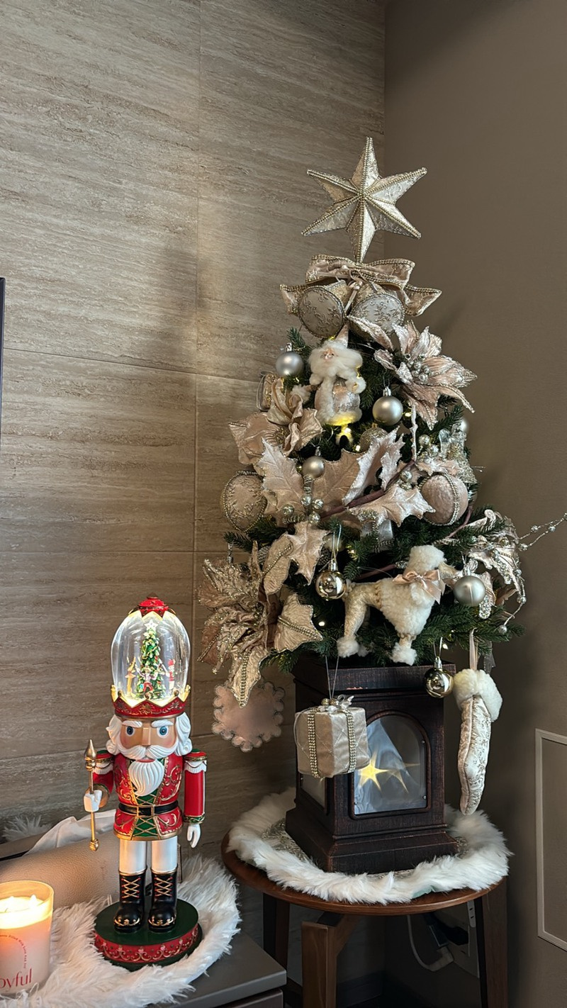 もうすぐクリスマス♪の画像