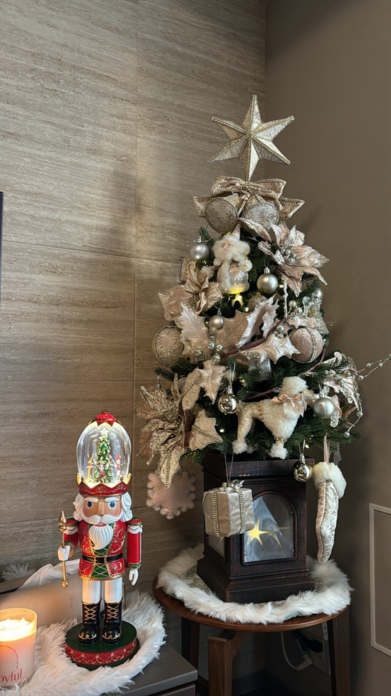もうすぐクリスマス♪の画像