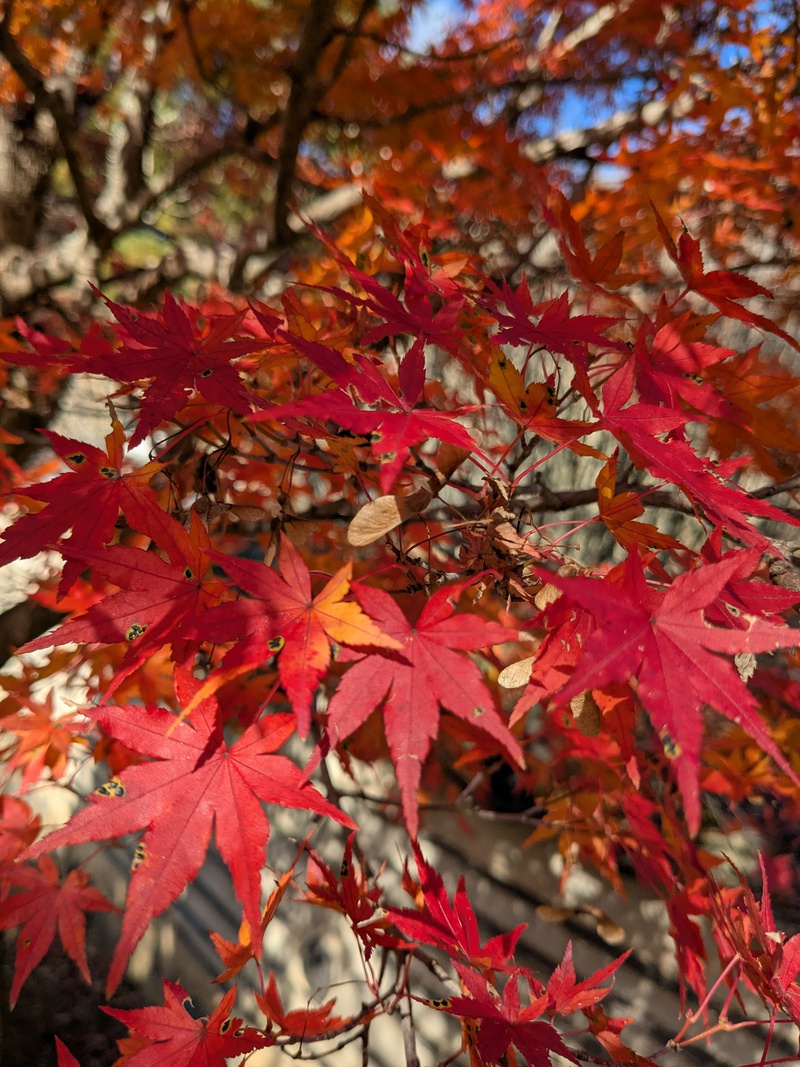山口県へ夫婦ぶらり旅…♪の画像
