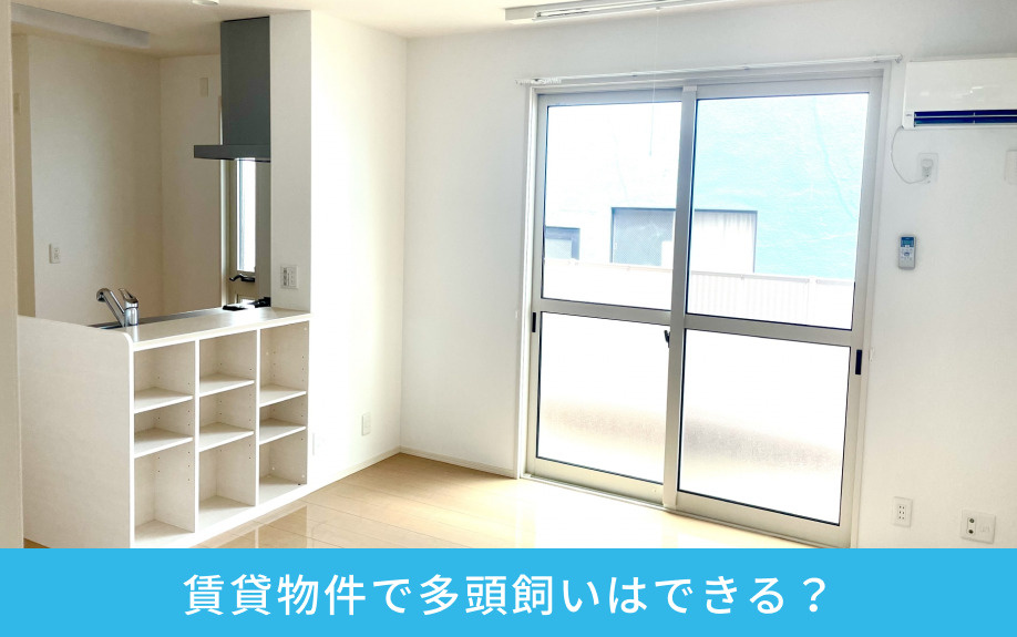 賃貸物件で多頭飼いはできる？