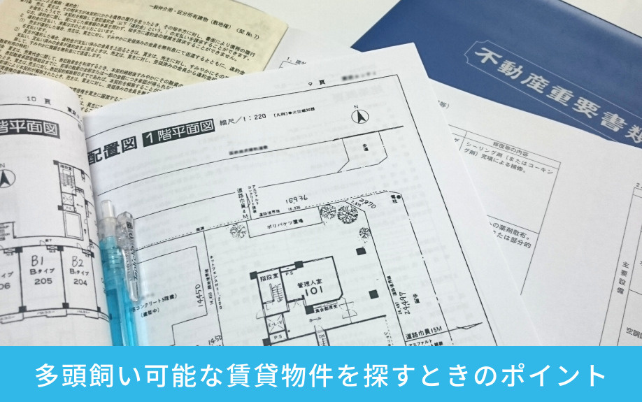 多頭飼い可能な賃貸物件を探すときのポイント
