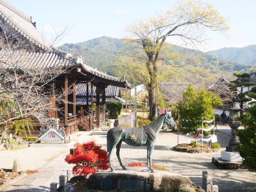 橘寺に行って来ました！の画像