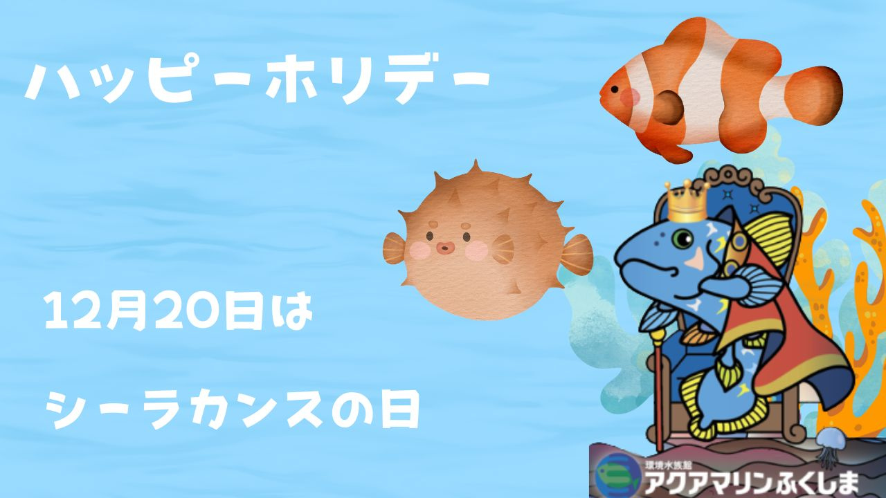 ハッピーホリデー! 冬は楽(たの)シーラカンスの画像