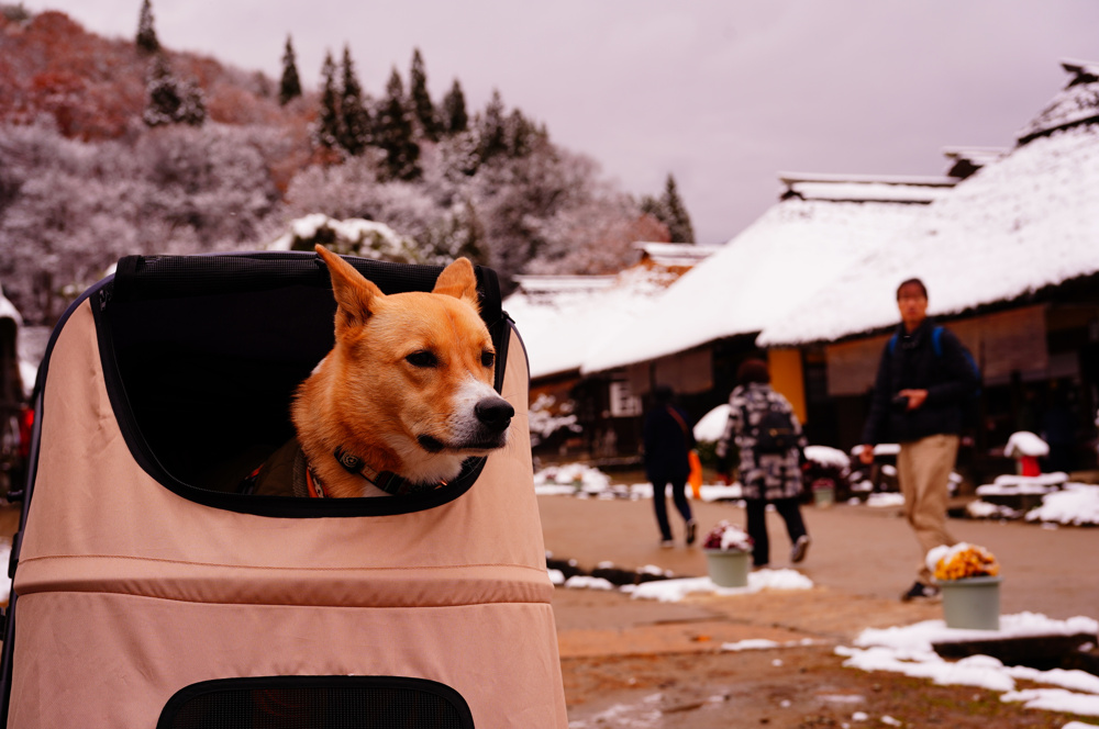 50歳から不動産業で起業する方法を考えるの画像