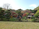国指定名勝三渓園の画像