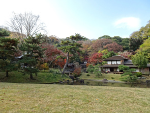 国指定名勝三渓園の画像