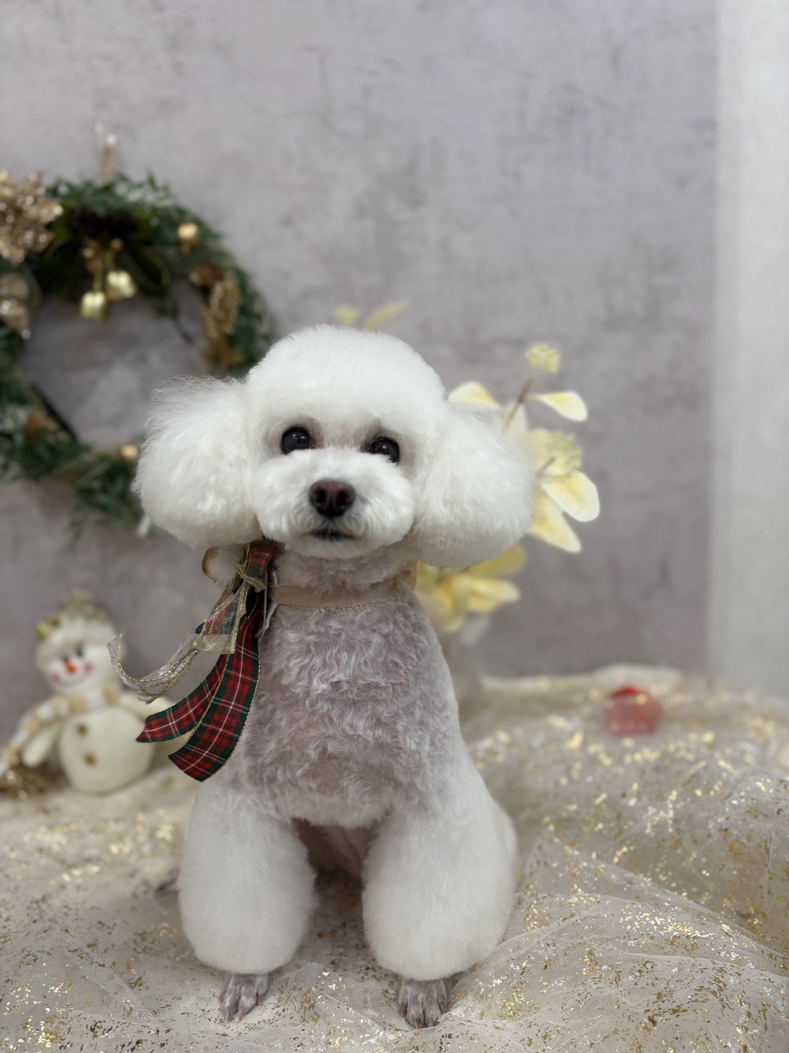 トリミングの画像