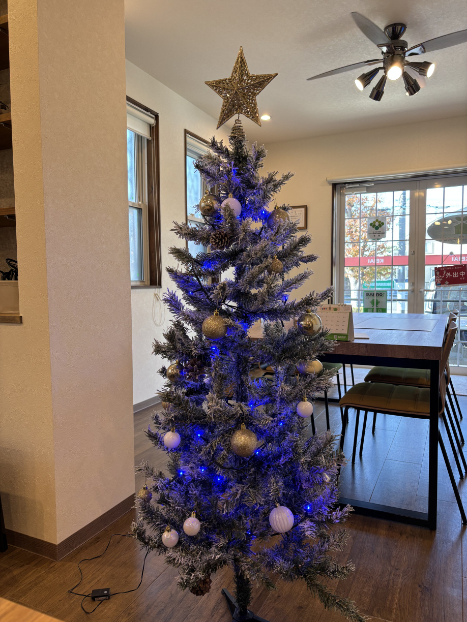 もうすぐクリスマスです☆の画像