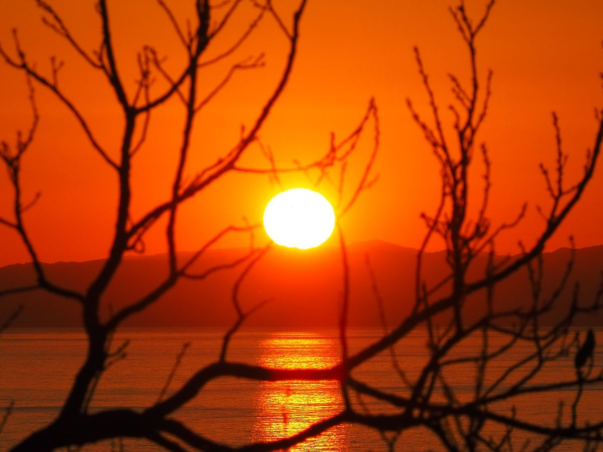 仙元山＠葉山の画像