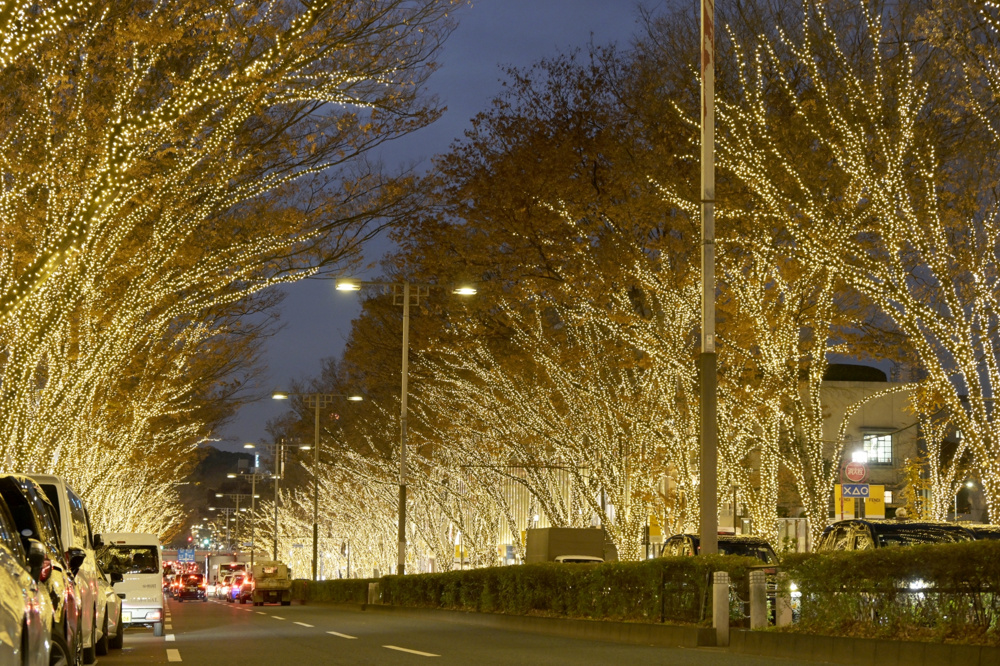 南青山におでかけしませんか？１２月の表参道のおすすめ情報も紹介の画像