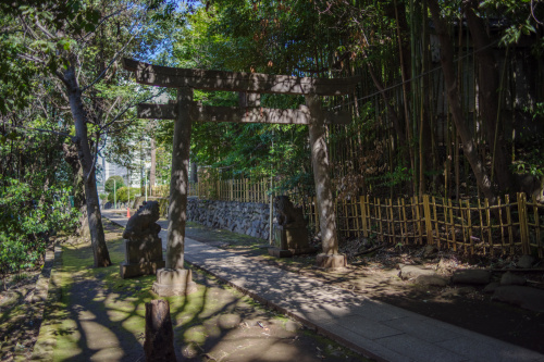 エリア情報を知りたい渋谷区東の魅力は？生活しやすい理由や賃貸探しのポイントも紹介の画像