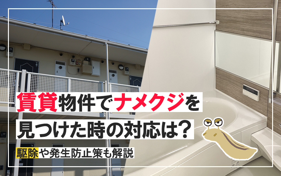 賃貸物件でナメクジを見つけた時の対応は？駆除や発生防止策も解説