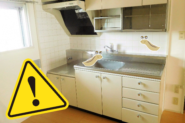 ナメクジを駆除する方法