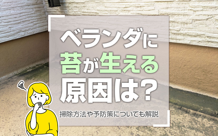 ベランダに苔が生える原因は？掃除方法や予防策についても解説