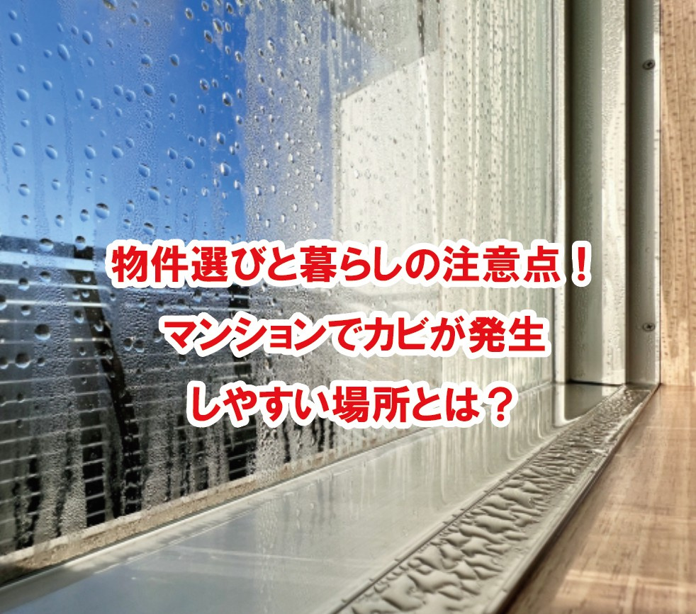 物件選びと暮らしの注意点！マンションでカビが発生しやすい場所とは？【高崎不動産情報ライブラリー】の画像
