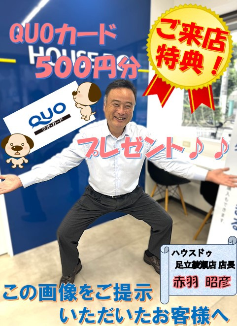 クリスマスなハウスドゥ足立綾瀬の画像