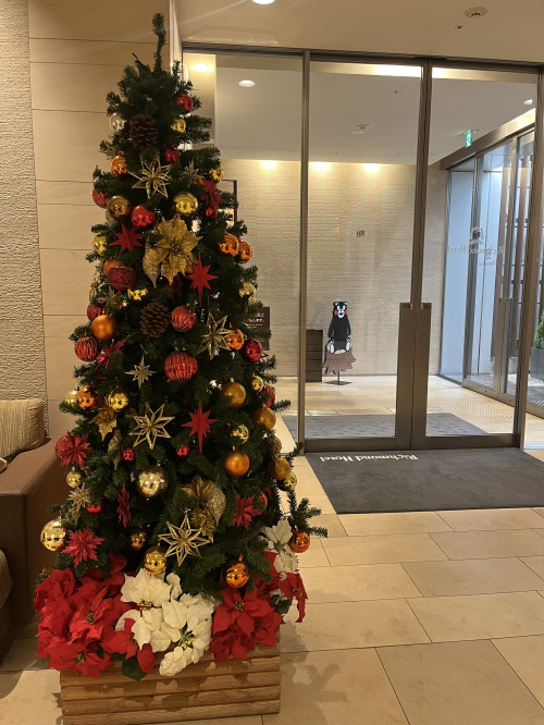 熊本でコストコ近くに住むならどこがおすすめ？人気エリアや暮らしのポイントをご紹介の画像