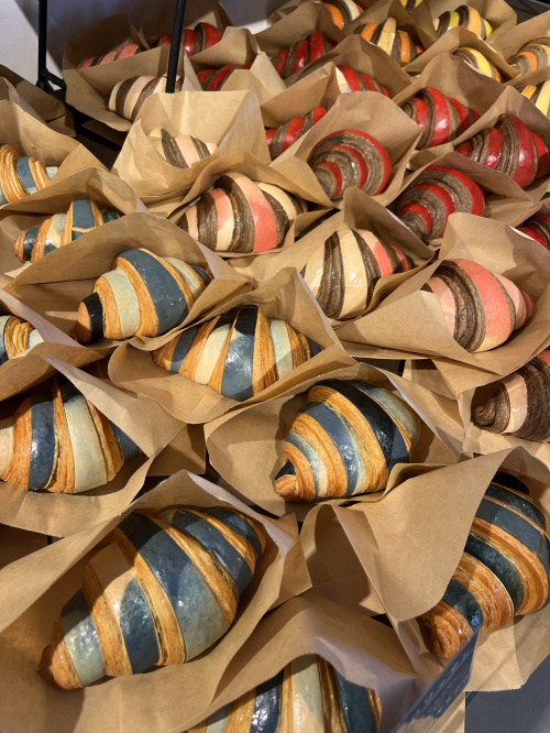 熊本市立小中一貫校の校風はどう違う?特徴と選び方のポイントを解説の画像