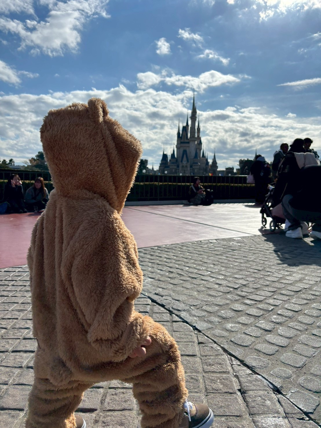 夢の国の画像