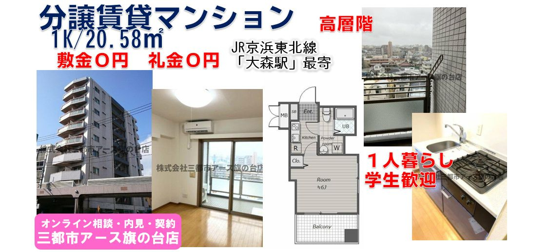 【敷金０円・礼金０円】１人暮らし向けの分譲賃貸マション1K｜大森駅の画像