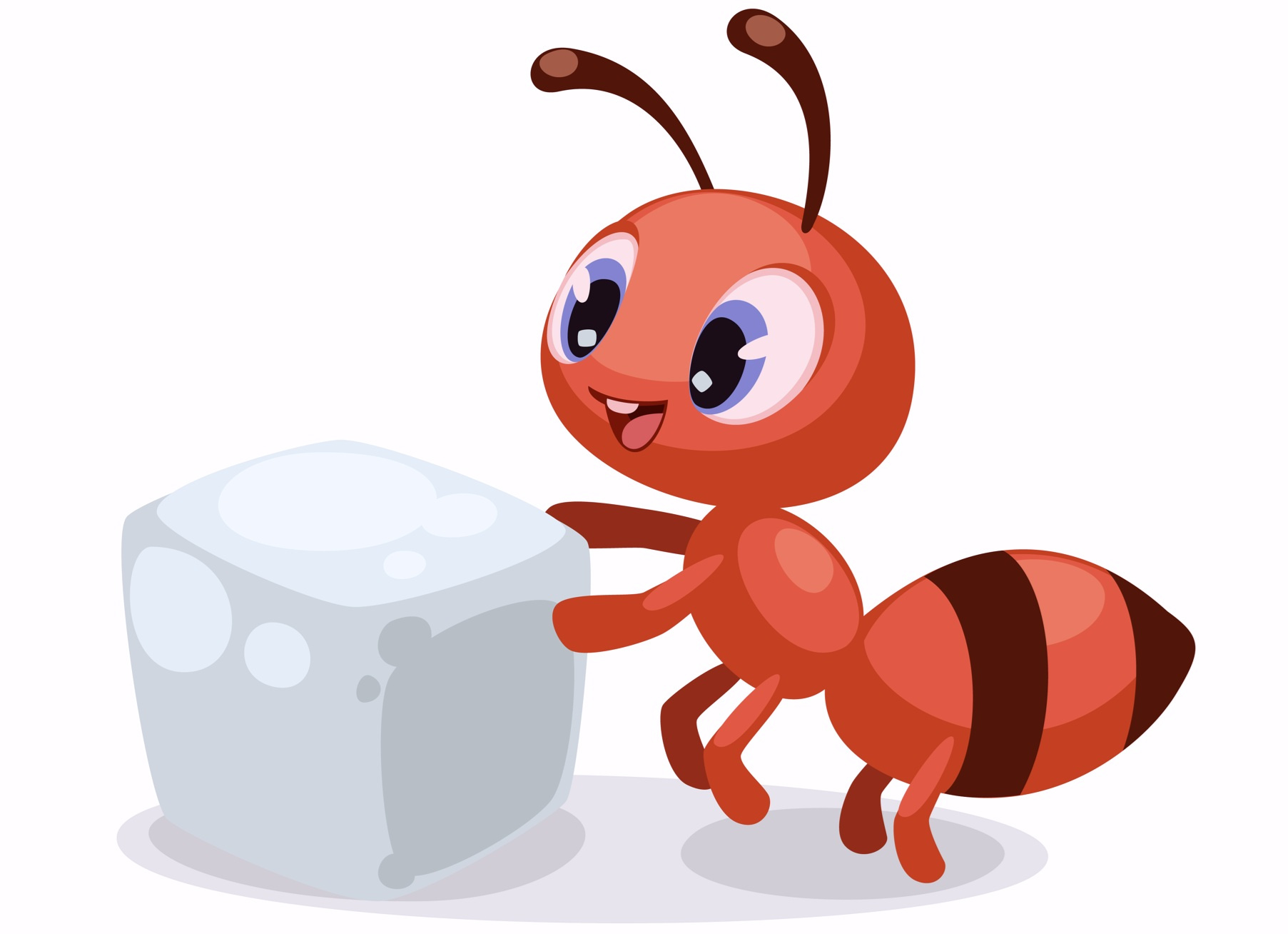 Vol.212  シロアリ点検は必要？タイミングと費用の画像