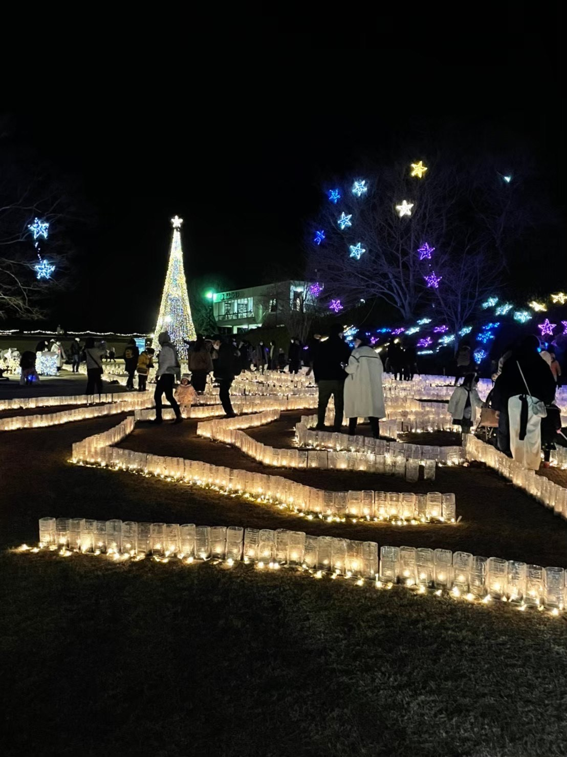 賃貸でも楽しめるクリスマス飾りつけのコツは？アイデア満載でお部屋を華やかにの画像