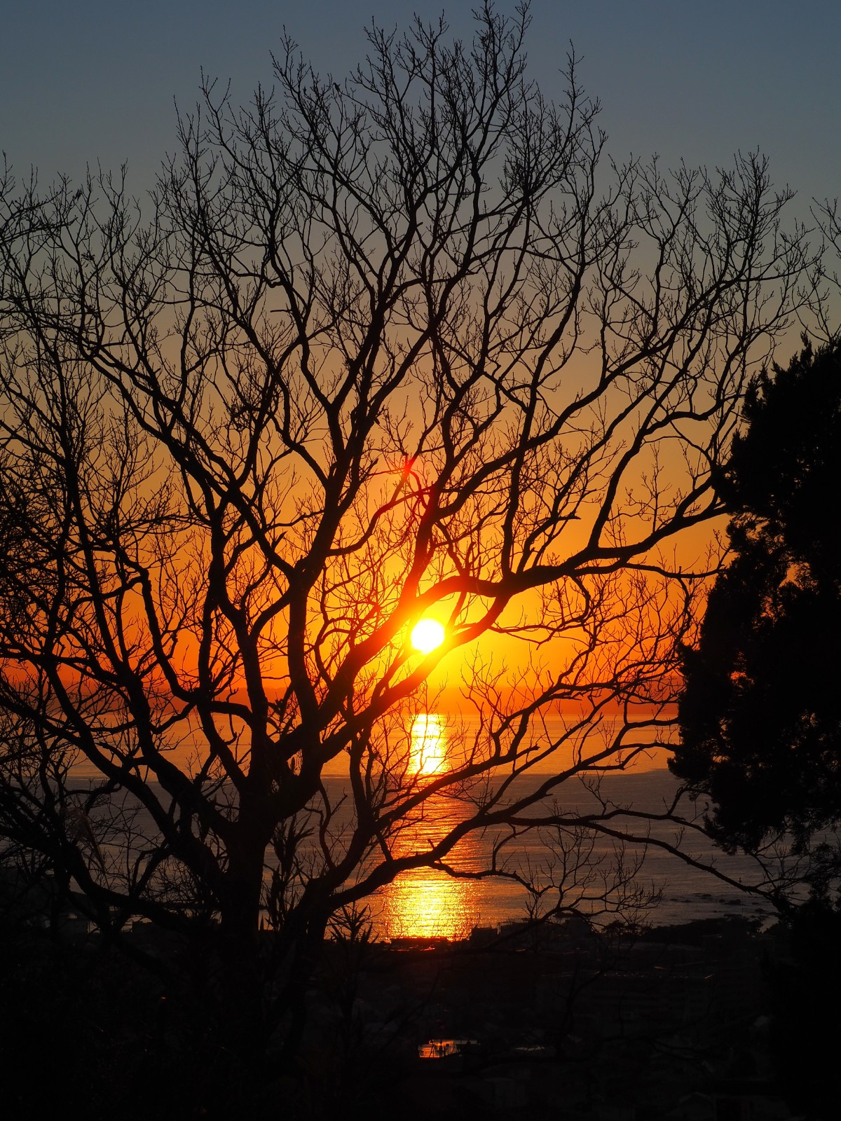 山岳トレーニング（2025.12.13）の画像