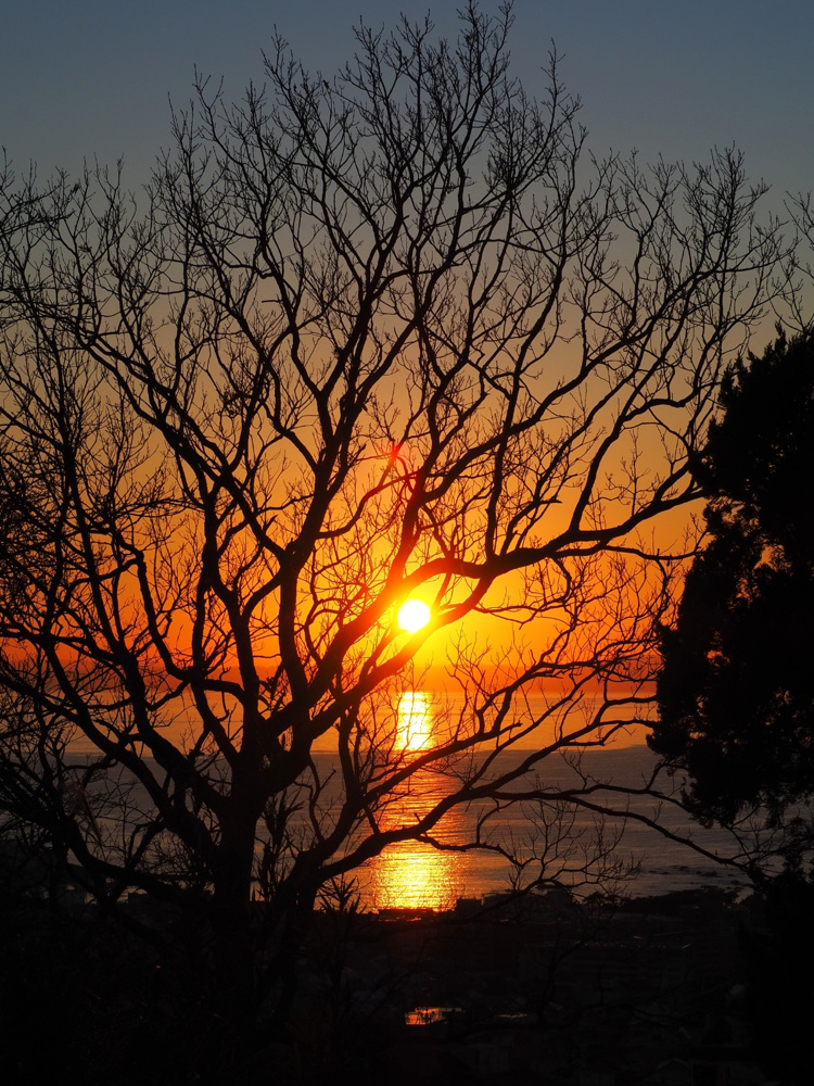 山岳トレーニング（2025.12.13）の画像