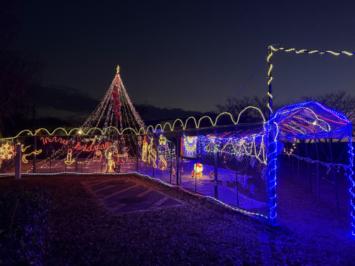 街を彩るやさしい冬の灯りの画像